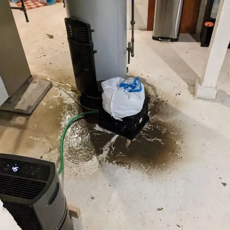 Sewage Backup Cleanup Service in El Dorado Springs, MO